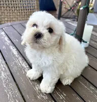 processed/2c789cd3-a3a8-4df2-9161-1502ad0cb6ff/listing/a6026448-af16-4172-b035-dd74703455f5/4186ec11-39f9-4893-8d25-5762e14eca9d