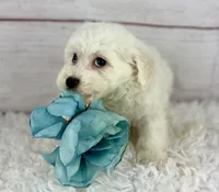 processed/2c789cd3-a3a8-4df2-9161-1502ad0cb6ff/listing/a6026448-af16-4172-b035-dd74703455f5/56818537-bf87-4ae2-8ac6-6cc3a6856417