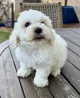 processed/2c789cd3-a3a8-4df2-9161-1502ad0cb6ff/listing/a6026448-af16-4172-b035-dd74703455f5/96a8d9ea-a559-4029-a6d9-6152530a248a