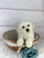 processed/2c789cd3-a3a8-4df2-9161-1502ad0cb6ff/listing/a6026448-af16-4172-b035-dd74703455f5/d5b551a9-645b-41e8-a5c9-c66517a5c258