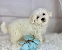 processed/2c789cd3-a3a8-4df2-9161-1502ad0cb6ff/listing/a6026448-af16-4172-b035-dd74703455f5/e4d6d034-84f5-49ed-98c5-a1a44bfe88d8