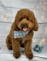 processed/2c789cd3-a3a8-4df2-9161-1502ad0cb6ff/listing/f9b106e1-1ffd-465b-bd2d-67d035799510/6b397a01-b3b2-4710-915b-cb933f8dd14a