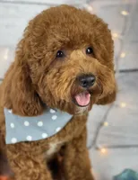 processed/2c789cd3-a3a8-4df2-9161-1502ad0cb6ff/listing/f9b106e1-1ffd-465b-bd2d-67d035799510/cb90edfa-e72a-49b3-b6aa-d44dde9bf798