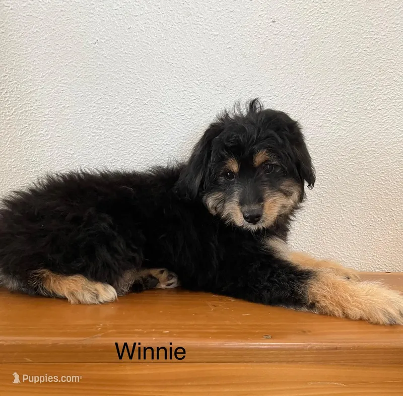 Winnie