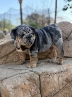 processed/2c82814f-588a-4934-bd1c-a93430dad43b/listing/5fa2993b-d8f7-456c-8f4e-97e36f0f69e8/00e9cc55-358d-4600-a4bb-6beda3b1a5c6