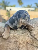 processed/2c82814f-588a-4934-bd1c-a93430dad43b/listing/5fa2993b-d8f7-456c-8f4e-97e36f0f69e8/3c3ebad6-6d52-499a-96e7-11aebfc6746f