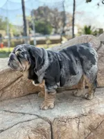 processed/2c82814f-588a-4934-bd1c-a93430dad43b/listing/5fa2993b-d8f7-456c-8f4e-97e36f0f69e8/ad2442c8-c3be-4cc3-a642-4cc07c91aad8