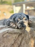 processed/2c82814f-588a-4934-bd1c-a93430dad43b/listing/5fa2993b-d8f7-456c-8f4e-97e36f0f69e8/b89281e8-741d-4708-89d7-bd5e106c8126