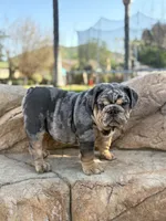 processed/2c82814f-588a-4934-bd1c-a93430dad43b/listing/5fa2993b-d8f7-456c-8f4e-97e36f0f69e8/c3c51830-f1dd-47cd-a200-747168c7584e