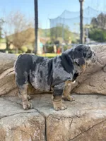 processed/2c82814f-588a-4934-bd1c-a93430dad43b/listing/5fa2993b-d8f7-456c-8f4e-97e36f0f69e8/c5033fcc-7c09-4256-a294-045d186fe6d5