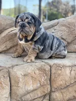 processed/2c82814f-588a-4934-bd1c-a93430dad43b/listing/5fa2993b-d8f7-456c-8f4e-97e36f0f69e8/d6851f20-9274-4d02-b0c1-18baeff425b5