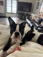 processed/2c881791-bdf0-4e4c-9506-3ab5d156b38b/listing/2bcbc5e8-1dca-4362-917e-7dbbd7d211ab/059e4fd4-e185-4b08-a8c8-43fb7af8845b