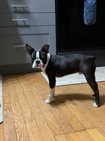 processed/2c881791-bdf0-4e4c-9506-3ab5d156b38b/listing/2bcbc5e8-1dca-4362-917e-7dbbd7d211ab/0ac06218-033d-4f85-863f-6da3848c3492