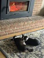 processed/2c881791-bdf0-4e4c-9506-3ab5d156b38b/listing/2bcbc5e8-1dca-4362-917e-7dbbd7d211ab/4f559c13-9374-475a-bf39-f7fb8d8a8d0f