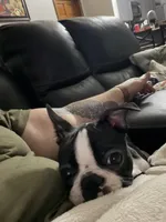 processed/2c881791-bdf0-4e4c-9506-3ab5d156b38b/listing/2bcbc5e8-1dca-4362-917e-7dbbd7d211ab/7c8399e8-4472-4b27-bc87-7f6f8a273e93