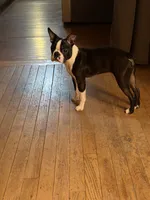 processed/2c881791-bdf0-4e4c-9506-3ab5d156b38b/listing/2bcbc5e8-1dca-4362-917e-7dbbd7d211ab/c90c707c-656c-440c-bb6f-8bdf88b2948d