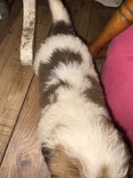 processed/2c937ab9-563c-4dc8-a5eb-94501a0fbd93/listing/1bb33fae-7b61-4e91-97fe-d67a2be0fc9a/dc8b9a38-259c-4a84-a8d4-27a93328e8e4