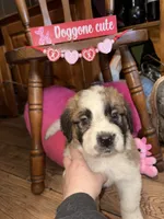 processed/2c937ab9-563c-4dc8-a5eb-94501a0fbd93/listing/49e3a855-11a4-4b03-9a0e-709cf413c957/8753fd3e-5f5d-462d-8657-3950e00a5d9c