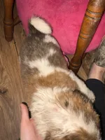 processed/2c937ab9-563c-4dc8-a5eb-94501a0fbd93/listing/49e3a855-11a4-4b03-9a0e-709cf413c957/f781f031-6dec-44cc-8a00-3aa1f20b0e70