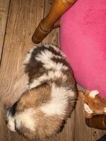 processed/2c937ab9-563c-4dc8-a5eb-94501a0fbd93/listing/69761692-8c31-448f-8971-f3f2d42e79b3/8bad45de-6ae0-4989-b9b4-c82a429c3cbb