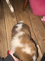 processed/2c937ab9-563c-4dc8-a5eb-94501a0fbd93/listing/7b67e5c5-068c-4211-9893-05ae096af5b9/ac90b696-8a00-4e1a-880b-200d607d927e