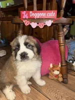 processed/2c937ab9-563c-4dc8-a5eb-94501a0fbd93/listing/c5661d7c-77b6-4beb-ab2b-43ccc5327a27/2f0a079d-e0f3-4aaf-be95-e5b21eb023bf