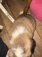 processed/2c937ab9-563c-4dc8-a5eb-94501a0fbd93/listing/c5661d7c-77b6-4beb-ab2b-43ccc5327a27/31ce8dd9-304a-4c15-86d8-d034b1d96efc