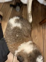 processed/2c937ab9-563c-4dc8-a5eb-94501a0fbd93/listing/cf4f5000-1c61-4abc-abbf-0eea34ab4697/a16ba496-bbba-4141-a490-7b71c5fb37dc