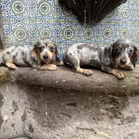 processed/2c98376f-3abf-495c-a2d5-588128dd9bfb/facility/ec1b4e05-0daf-42ea-934c-11fde3c6f510