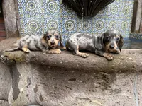 processed/2c98376f-3abf-495c-a2d5-588128dd9bfb/facility/ec1b4e05-0daf-42ea-934c-11fde3c6f510