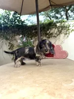 processed/2c98376f-3abf-495c-a2d5-588128dd9bfb/listing/2c4a860c-a4c4-4c06-bd16-ee9bfb3feff4/140584e5-51ac-4ab7-b872-0c7d2948f099