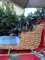 processed/2c98376f-3abf-495c-a2d5-588128dd9bfb/listing/2c4a860c-a4c4-4c06-bd16-ee9bfb3feff4/2213988a-cc5d-41e4-9a88-6b792d2e0b76