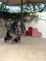 processed/2c98376f-3abf-495c-a2d5-588128dd9bfb/listing/2c4a860c-a4c4-4c06-bd16-ee9bfb3feff4/4e9510b9-9761-4d4d-9cff-6ddba7aba541