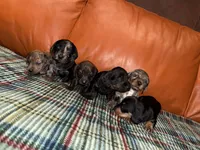 processed/2c98376f-3abf-495c-a2d5-588128dd9bfb/listing/2c4a860c-a4c4-4c06-bd16-ee9bfb3feff4/554dd212-81b6-4eea-b914-7e698315d544