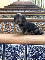 processed/2c98376f-3abf-495c-a2d5-588128dd9bfb/listing/2c4a860c-a4c4-4c06-bd16-ee9bfb3feff4/809016d8-813a-47ec-a209-1d5e014af5ac