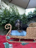 processed/2c98376f-3abf-495c-a2d5-588128dd9bfb/listing/2c4a860c-a4c4-4c06-bd16-ee9bfb3feff4/b1e8d3a2-48a7-4e3b-ac01-b91c77bbcc59