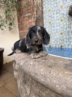 processed/2c98376f-3abf-495c-a2d5-588128dd9bfb/listing/2c4a860c-a4c4-4c06-bd16-ee9bfb3feff4/d1d38829-f65a-4477-b6f1-8d380e99f833