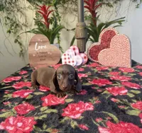 processed/2c98376f-3abf-495c-a2d5-588128dd9bfb/listing/32d861db-ceae-41e8-a9c8-dcf36412ab96/bb3003fa-8a78-4f43-9279-208ae8099720