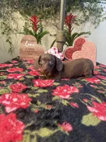 processed/2c98376f-3abf-495c-a2d5-588128dd9bfb/listing/32d861db-ceae-41e8-a9c8-dcf36412ab96/d493331c-d26b-4133-a8f4-3b5e89ffd1a3