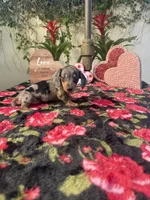 processed/2c98376f-3abf-495c-a2d5-588128dd9bfb/listing/494d5d86-011d-4b5c-9866-999800f8b799/426cfb57-4042-415a-ac6c-83fe416c4f04