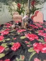 processed/2c98376f-3abf-495c-a2d5-588128dd9bfb/listing/494d5d86-011d-4b5c-9866-999800f8b799/5ecf6b4f-7aac-48c7-b11d-5c5c9bbaa6d7