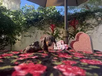 processed/2c98376f-3abf-495c-a2d5-588128dd9bfb/listing/494d5d86-011d-4b5c-9866-999800f8b799/7f47e8ef-f659-4b4b-80f2-806d74054b39