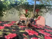 processed/2c98376f-3abf-495c-a2d5-588128dd9bfb/listing/494d5d86-011d-4b5c-9866-999800f8b799/8427ed0b-ab5b-46f2-89c9-708fba1d97ae