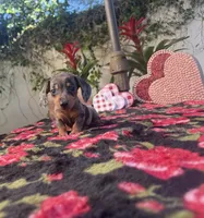 processed/2c98376f-3abf-495c-a2d5-588128dd9bfb/listing/494d5d86-011d-4b5c-9866-999800f8b799/e8f04aaa-cc77-47d4-95fa-0daee9320a7e