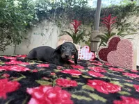 processed/2c98376f-3abf-495c-a2d5-588128dd9bfb/listing/4ecf970a-e0a9-4404-aae1-a3bbb324abb4/1aeb9fa0-7256-45f1-a024-8783444a1f50