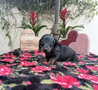 processed/2c98376f-3abf-495c-a2d5-588128dd9bfb/listing/4ecf970a-e0a9-4404-aae1-a3bbb324abb4/34f1514d-c109-41dd-adad-73d1d98b1da3