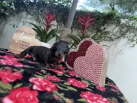 processed/2c98376f-3abf-495c-a2d5-588128dd9bfb/listing/4ecf970a-e0a9-4404-aae1-a3bbb324abb4/a1102ae6-a6bc-4b86-aaf7-685abacc9dd4