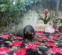 processed/2c98376f-3abf-495c-a2d5-588128dd9bfb/listing/4ecf970a-e0a9-4404-aae1-a3bbb324abb4/c9285d0f-bb4f-486e-9b4c-dbb121c75525