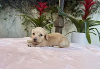 processed/2c98376f-3abf-495c-a2d5-588128dd9bfb/listing/666116b4-8a10-446e-a122-80919a8c91e0/38917ed7-bf2b-414c-a7e2-5d20f3a15f3e