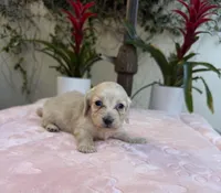 processed/2c98376f-3abf-495c-a2d5-588128dd9bfb/listing/6ac08fbb-36fc-4c2c-8089-fb8e34c7ef83/a307267e-76fb-485a-bd55-b4c14cc73f66